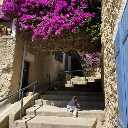 Maison Bougainvillier Village